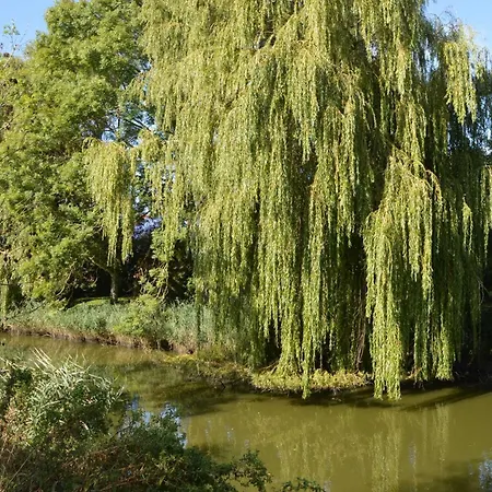 Kajuete * Horumersiel