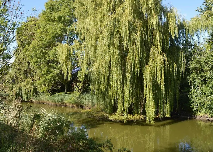 Kajuete * Horumersiel